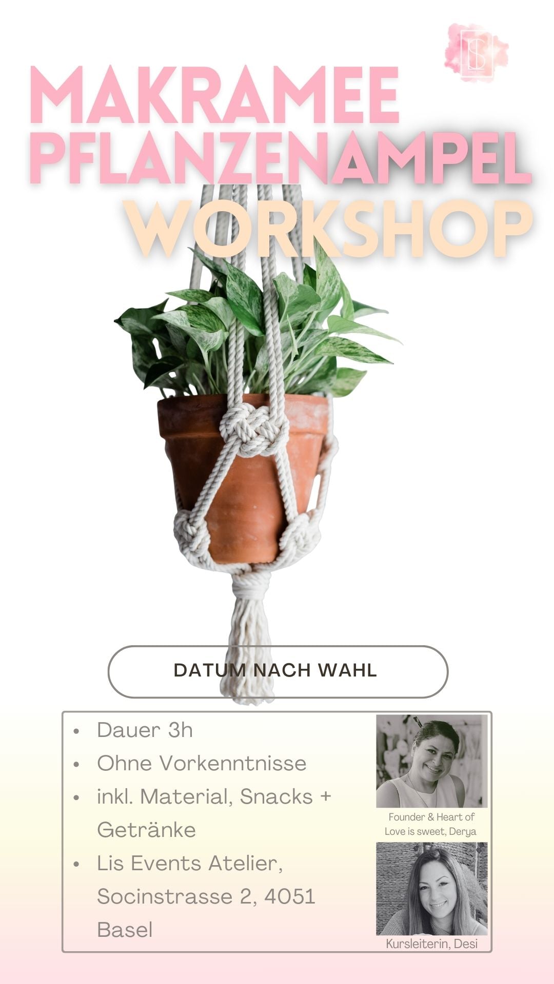 Makramee Pflanzenampel